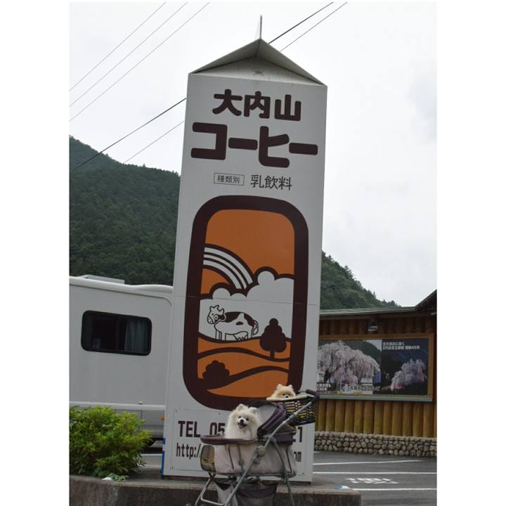 982b5565 4d72 40b5 8032 bf0b0dc1baa3