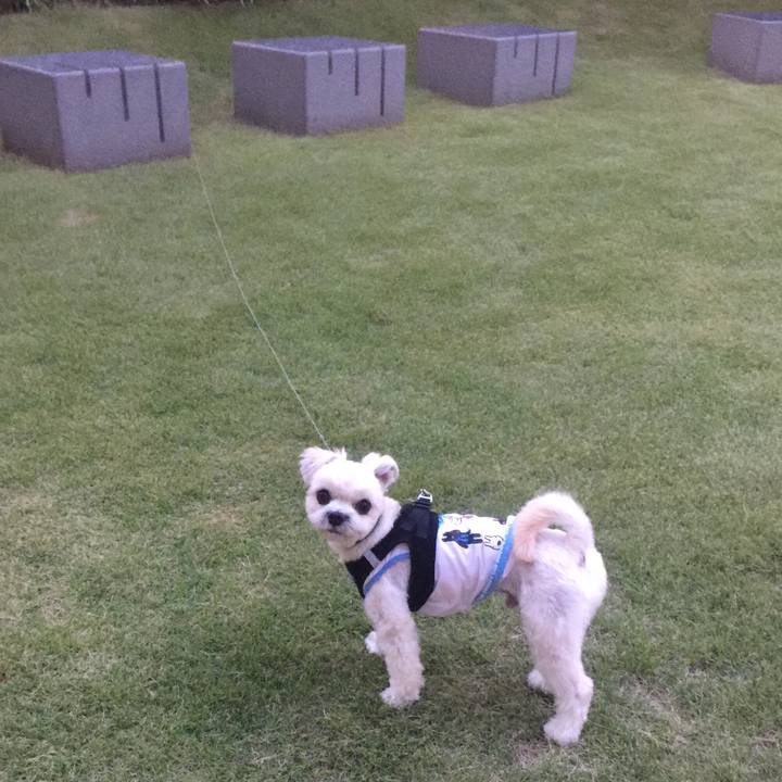 982bcd49 53c9 476b bf6f 44ac880ba658