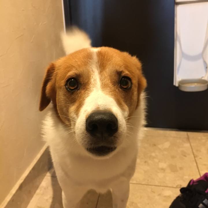 982c02be 1f04 4b7d b04f 312b63c401a3