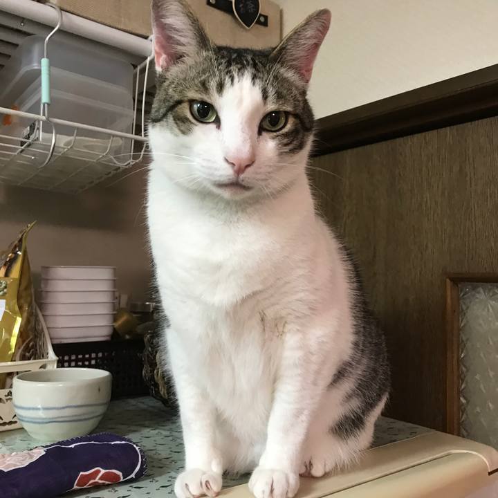 982c5a32 00da 48e3 a36d 9f875ced4dbf