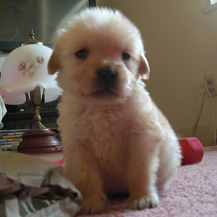 982c9819 e9d2 453a 8fe3 53cb3759c3d4