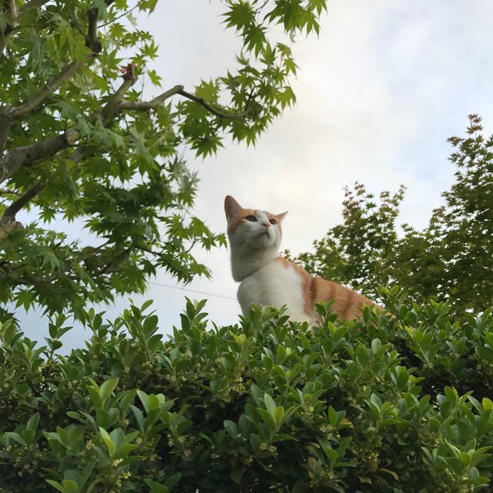 982ce834 adcd 41a2 b0b4 de9784789d9e