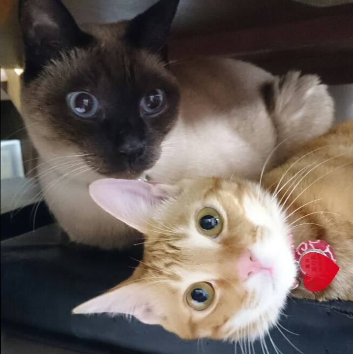 982cf622 b92e 4ed9 8737 b4f15422010d