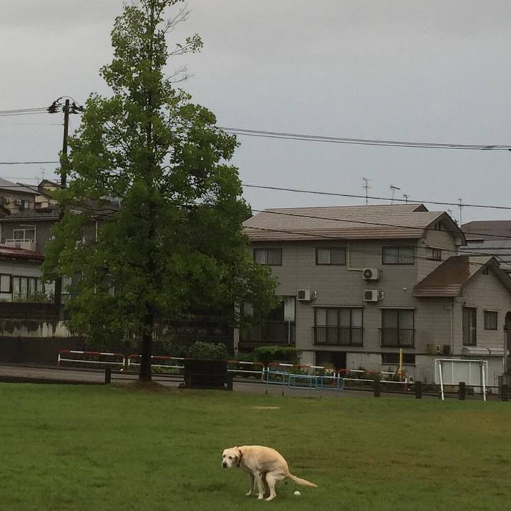 982d2c00 59cd 4355 ba58 c97056062b79