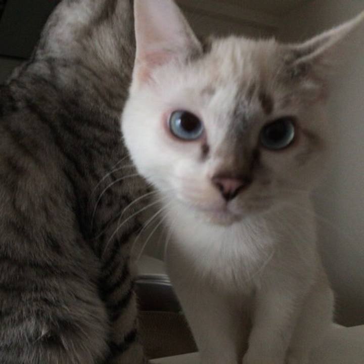 982d4940 39ef 4774 9651 e7d6033dfefe