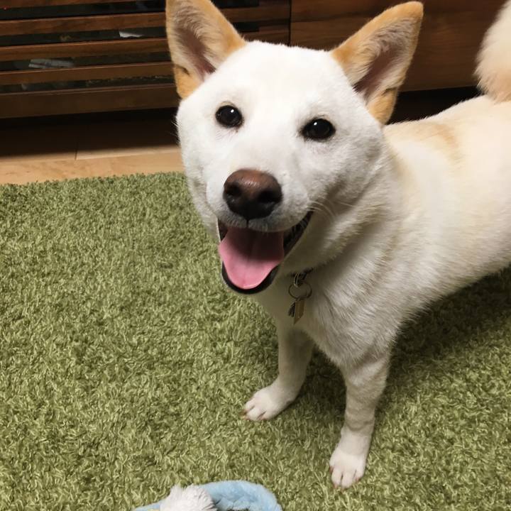 982d6ed2 cc0d 4c34 a54a 833f1e8acf8d