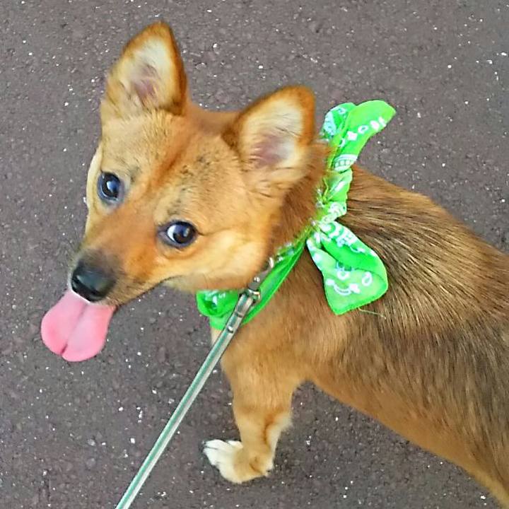 982d9dcf 7aff 4937 896d 59ba8a885106