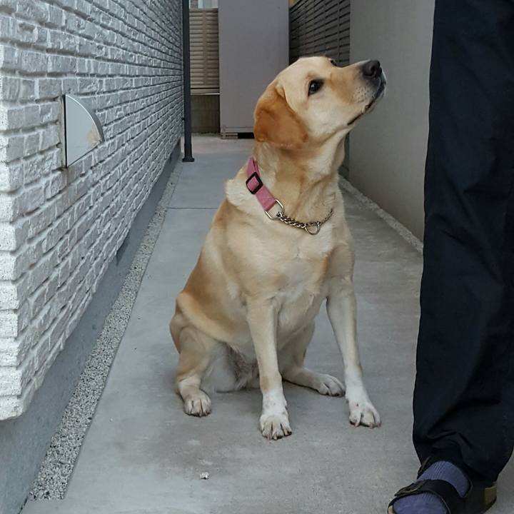 982e31e0 e4ed 4421 8265 a96d9a7f68ec