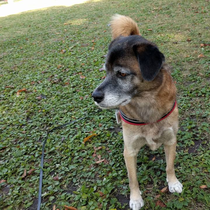 982e34c8 9783 4e25 ba4d b7c2666d4e3a