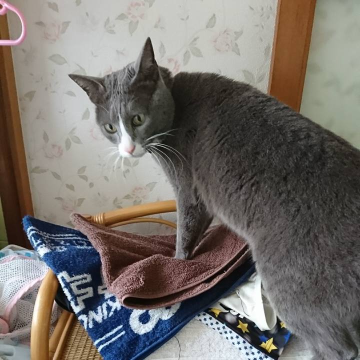 982fa228 a2ff 41b6 a6cc a8c3f1499e68