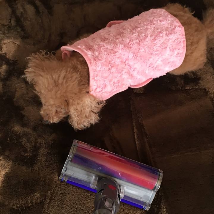 9830deae d08b 4b85 8c28 57d50096217b