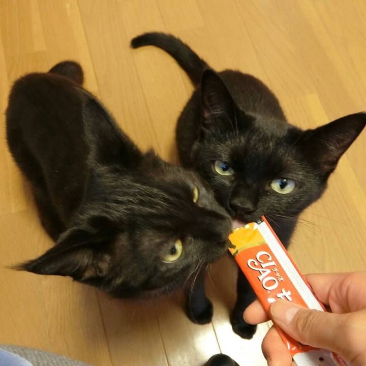 9831767c 0b54 4a70 aa16 b128c6026fe3