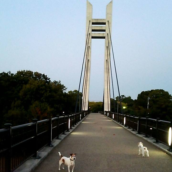 98321130 0c28 46fa a843 dbd2c0c267ff