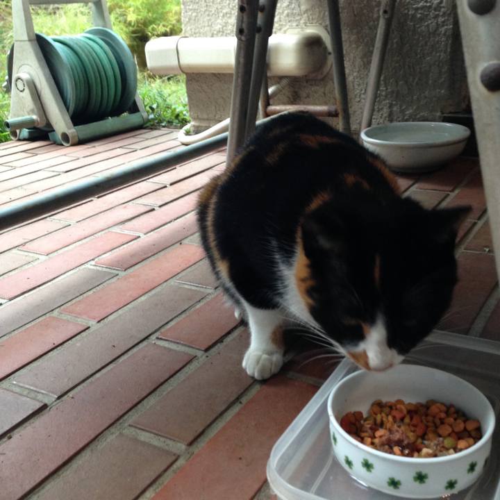 98328700 f259 4914 a589 27af23c4ad8e