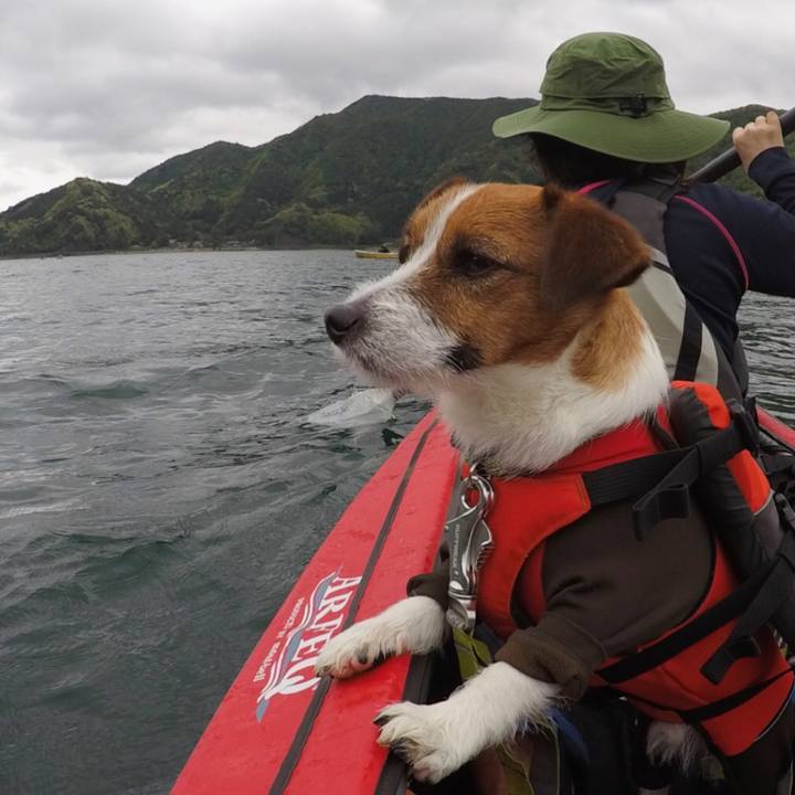 9832d4b0 dd72 4ab1 945c a2fc1eedbf2c