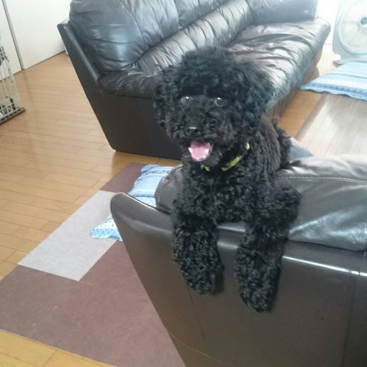 983372d1 4a78 4980 abf5 04726b26f274