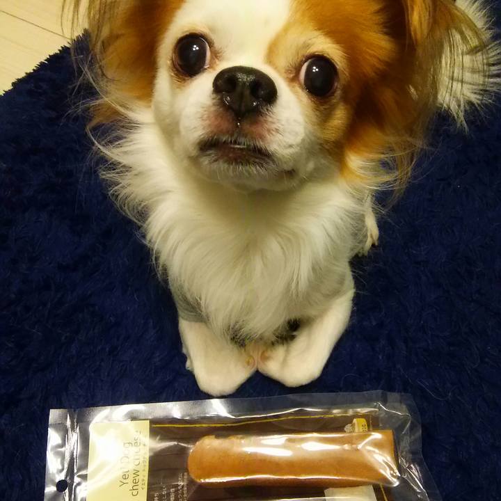 983383c6 0383 49bd a3df 918a045a3078