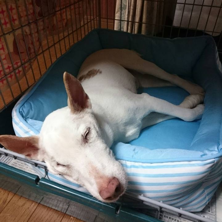 9833b3bc 6c04 4a74 8995 078e260a5f48