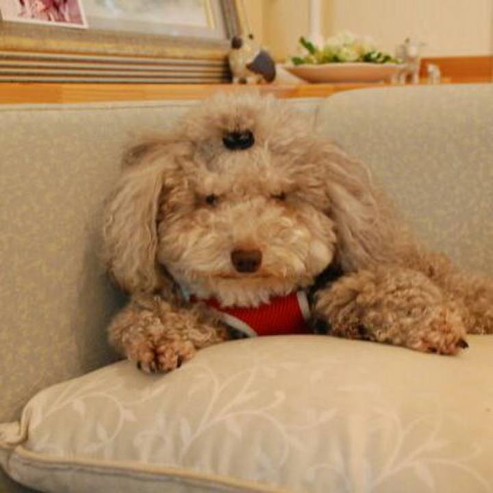 9833e67e 384e 454f b190 584f82d34932