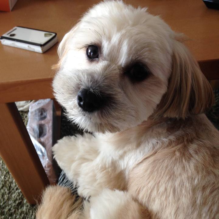 9833e747 4fd4 4bb2 ae4b e1591a25c29c