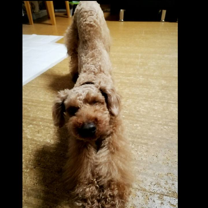 98346e6d f185 4b8f aa29 e337926440a5