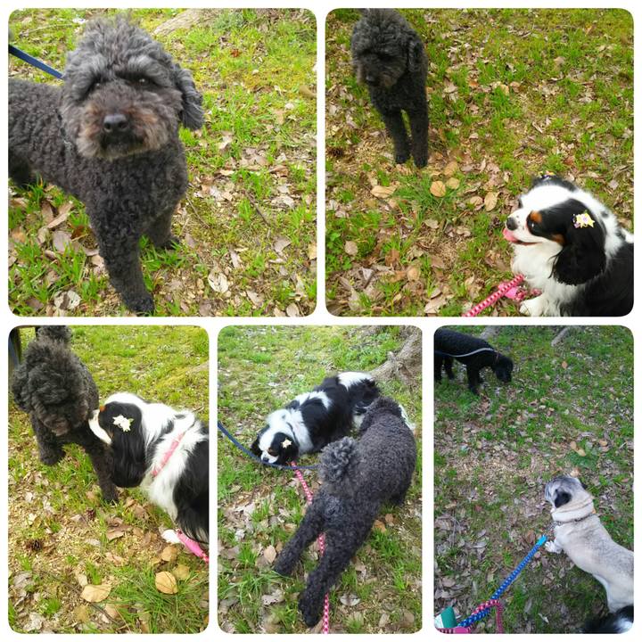 98348c24 79ef 45d3 b0a9 c2e67c58750c