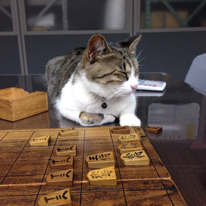 983510dd 0c18 4c9f be55 887f7423c1e1