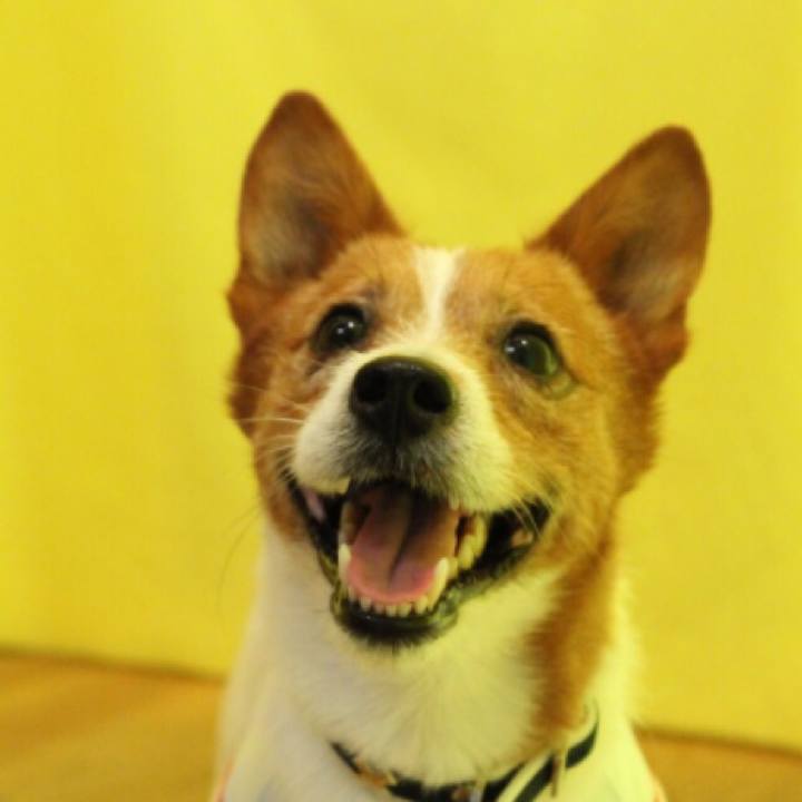 9836b13f c143 40f8 9709 6d14b0778938