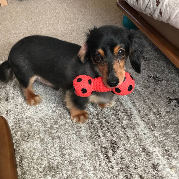 9836bc7a a699 4dfb 8ea3 ff14c6c869bb