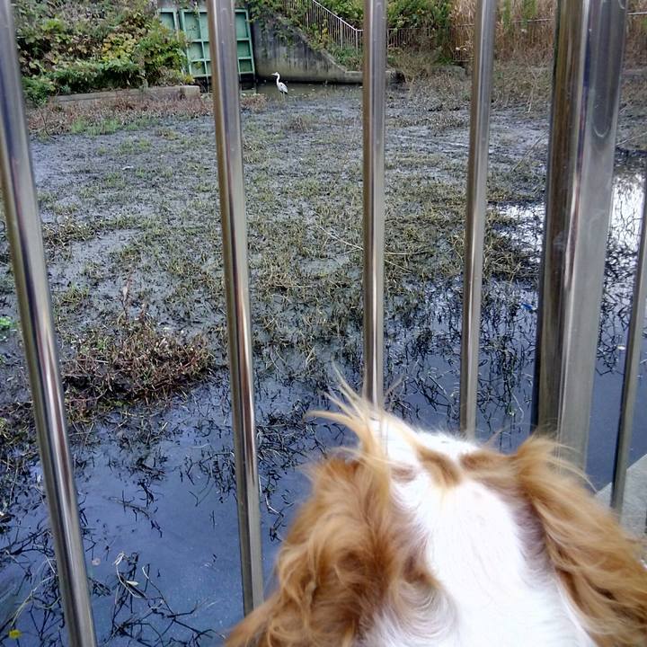 98370ce6 1890 4d49 b383 559523296b55