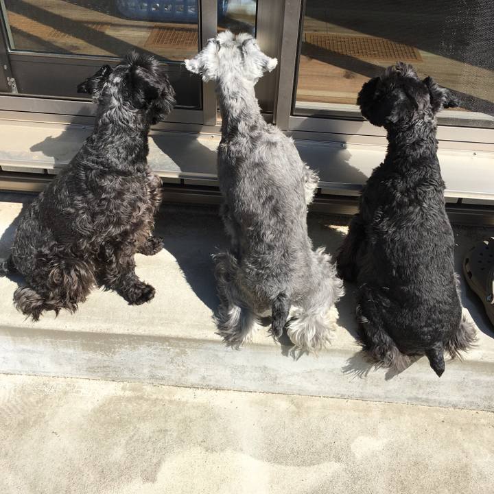 98371c5f ccca 4d5c 91bc c16583c4db0a