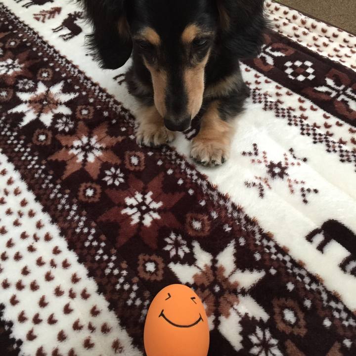 9837be65 32ff 4134 ae3b c54d05e40304