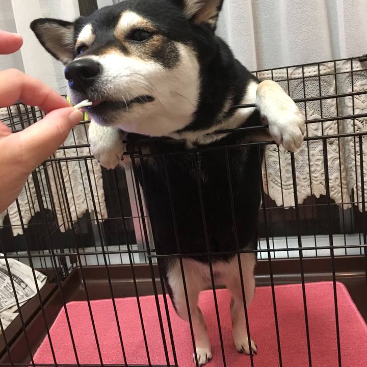 98383a29 bb49 4960 8a16 e638fc2dd89c