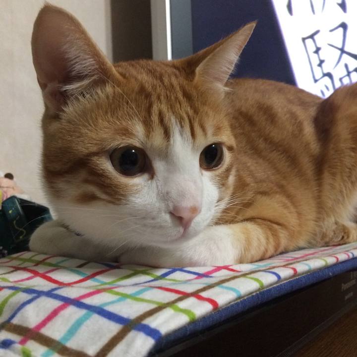 983965f0 60a8 4f10 9d8f a5c1fb0102b5