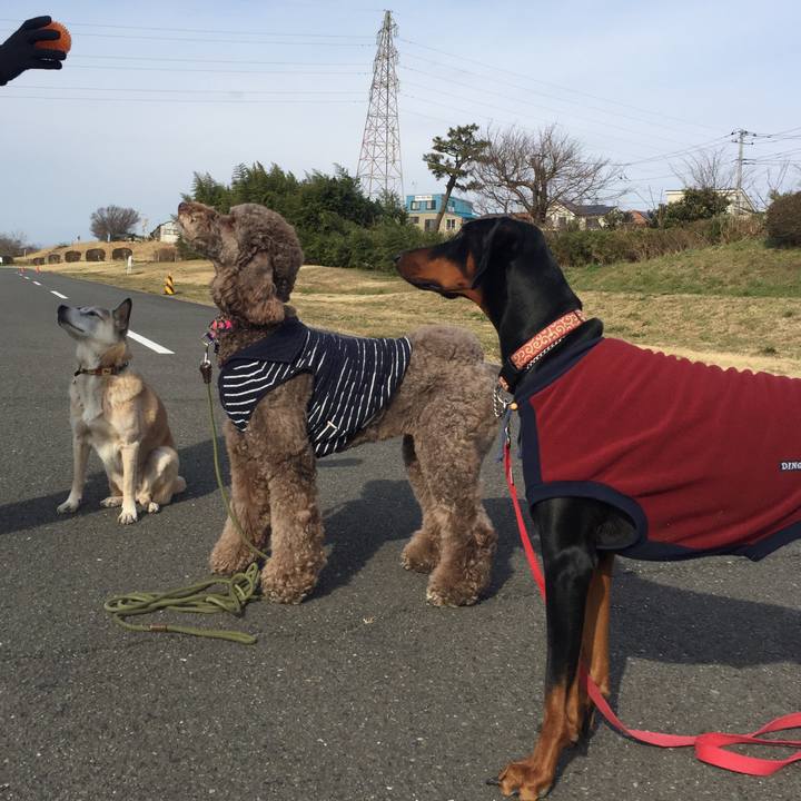 9839f0e6 0c2c 4986 a0e5 2c7e333292a5