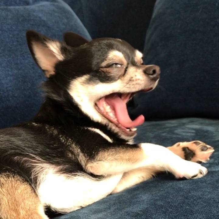 983b15c8 6bb7 4f93 aa86 f3873226b9a3