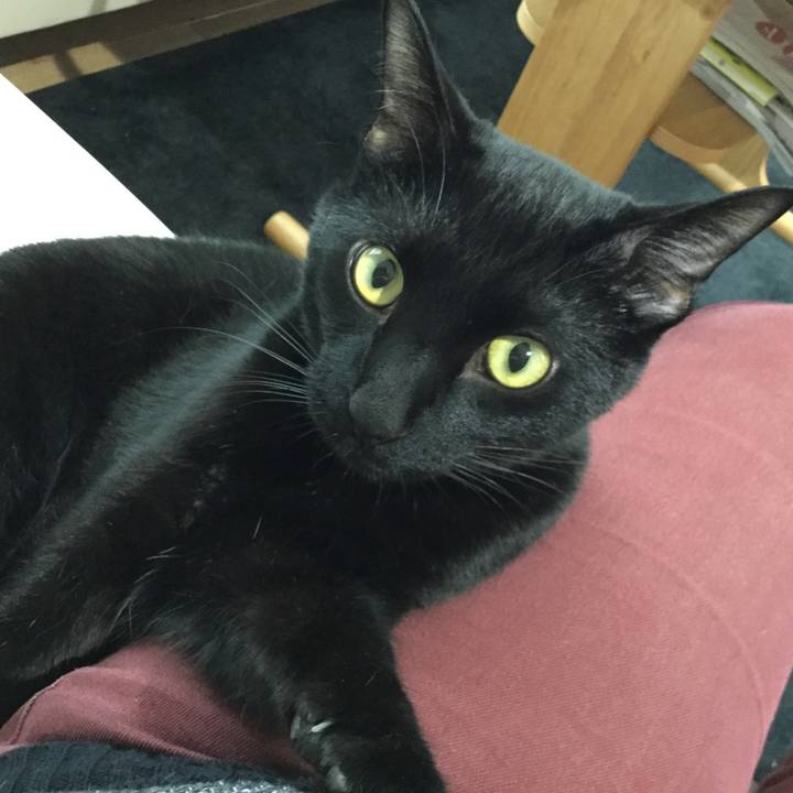 983b2909 543c 46a8 a184 499fc64d7282