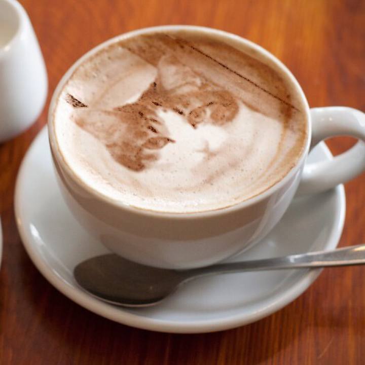 983b3e3c 0d99 42dd a879 fe6f0d074903