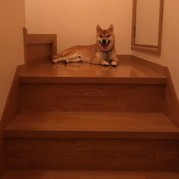 983b4822 e1bc 4599 822f c41a98ebdb07