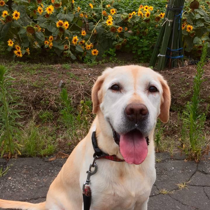 983b4dde 0585 4fa0 ac2b fe681377bc3f