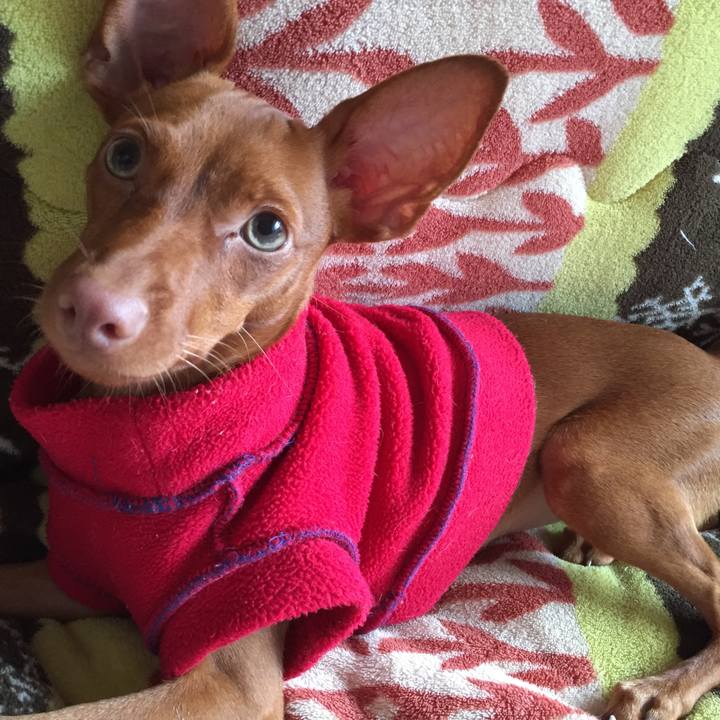 983bf9f5 85e2 4326 bb94 0ba1e9c2cafe