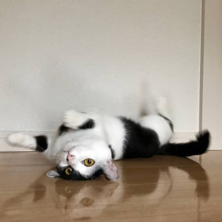 983c828a ad99 46de 80e1 06fb0ef9a935