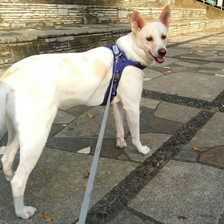 983c9fc9 9204 40cc 8db5 2463d391cb75