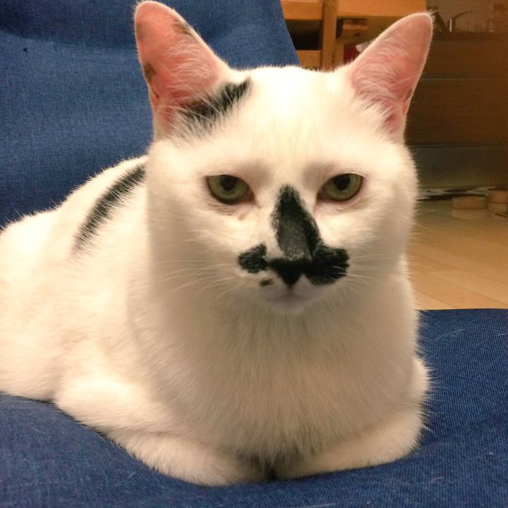 983ccad3 10fd 4a93 ae5b d0e6082071ba