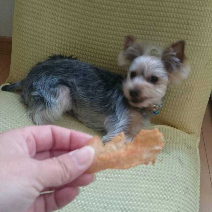 983d3c15 44bd 44b6 9111 9c70992c4672