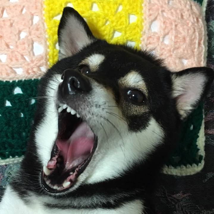 983d7b9c 6733 42e1 9f26 23d573c16204