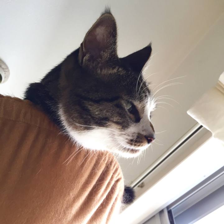 983d8602 e093 40a8 82d0 0f6f0558a010