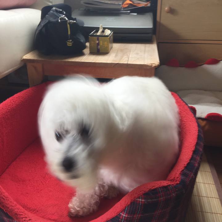 983e0a43 6633 417a 8988 f99cbdf56150