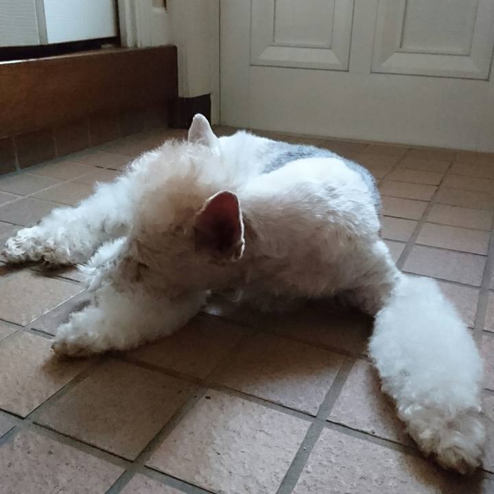 983e7d67 9ead 4a7d bf54 c1433c2a2b51