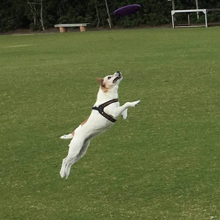 983ea7dc a80e 4499 af6f 0d357aa43840